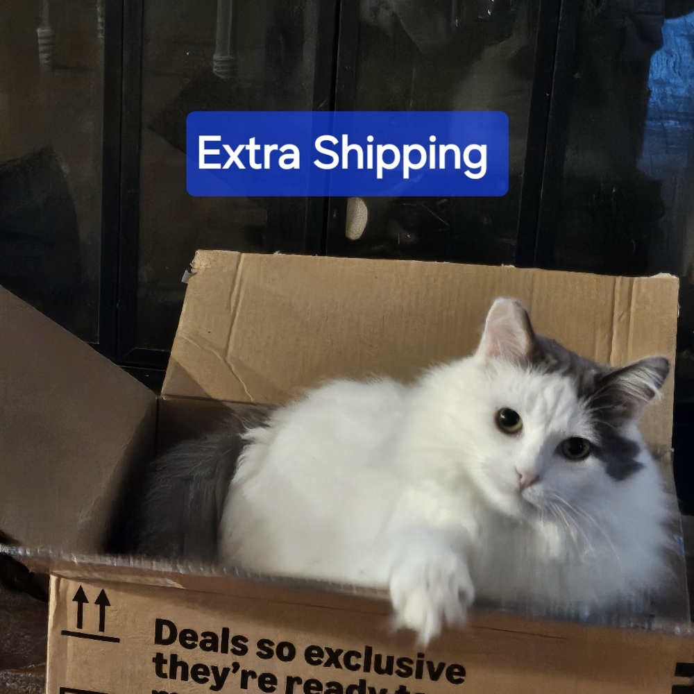 $3 Shipping Label